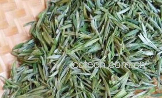 白片茶与白茶的区别 喝白片茶的好处-0