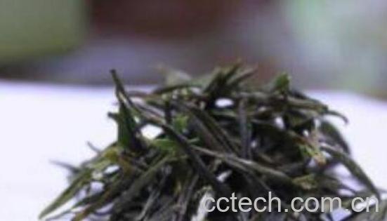 白片茶与白茶的区别 喝白片茶的好处-1