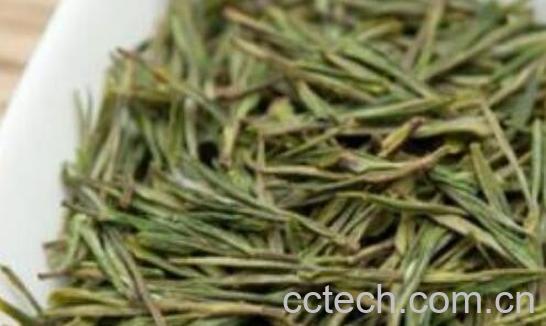 玉蕊茶的功效与作用 玉蕊茶怎么泡好喝-1