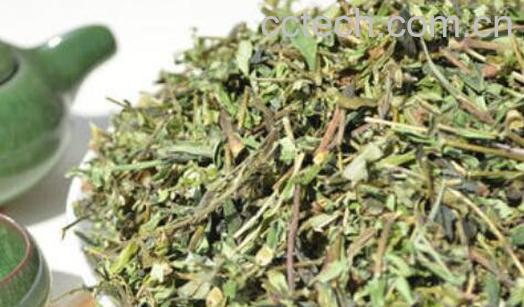 黄芩茶如何做 自家黄芪茶制作方法-1