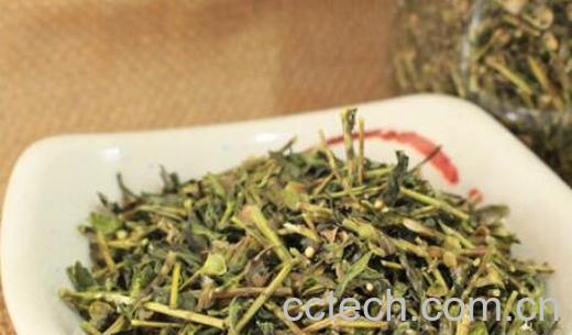 黄芪茶怎么泡 黄芪茶的正确冲泡方法-1