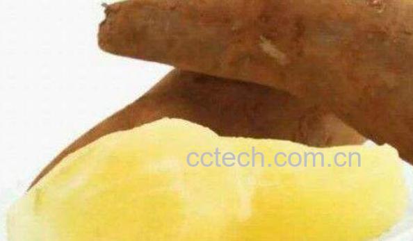 雪莲果可以生吃吗 女生吃雪莲果的坏处-0