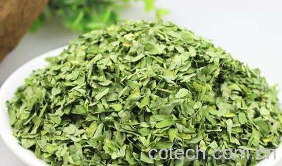 草茶的功效和作用-0