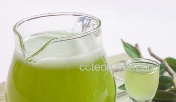  铁皮石斛可以泡茶喝吗 铁皮石斛怎么泡茶喝-0