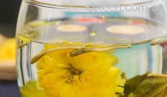 贡菊泡水喝有什么功效与作用-1