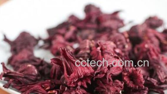 洛神花泡水喝的9大禁忌 洛神花的禁忌人群-0