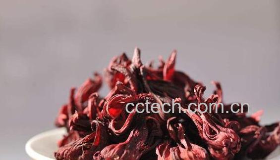 洛神花泡水喝的9大禁忌 洛神花的禁忌人群-1