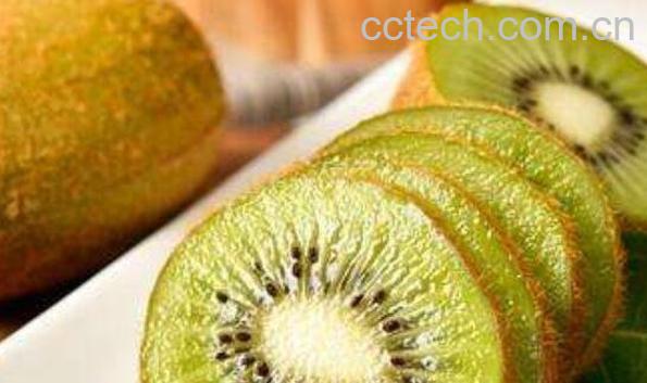 徐香猕猴桃产地哪里 徐香猕猴桃为什么叫“徐香”-0