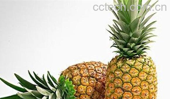 菠萝-1