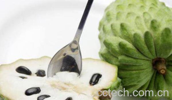 释迦果怎么判断熟没熟 释迦果切开没熟怎么办-0