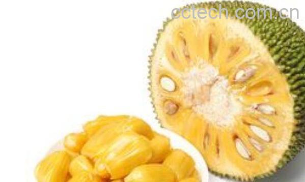 菠萝蜜怎么吃 菠萝蜜的正确食用方法-1