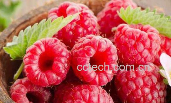 刺泡儿和覆盆子的区别 刺泡儿的常见吃法-0