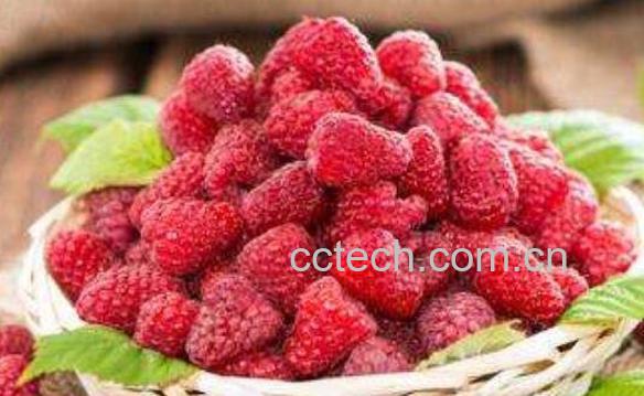 刺泡儿和覆盆子的区别 刺泡儿的常见吃法-1