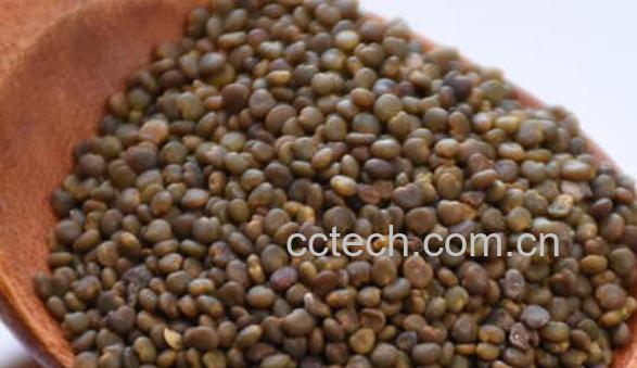 常喝什么茶能壮阳 男性喝什么茶对性功能好-1