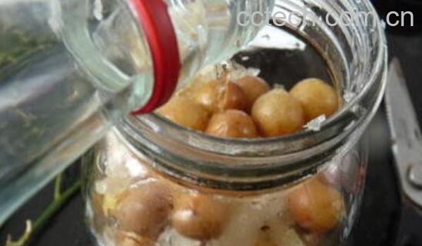 黄皮果泡酒作用与功效 黄皮果泡酒有什么作用-0