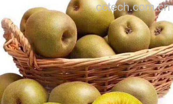 红心猕猴桃如何种植 红心猕猴桃种植方法技巧-0