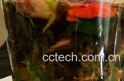 蒲公英加枸杞泡水功效与作用-1