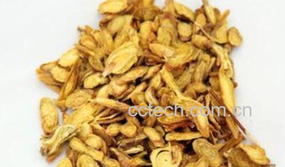 黄芩茶的功效与作用及禁忌症-1