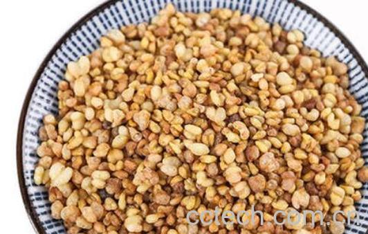 黑苦荞茶与黄苦荞茶的区别-1