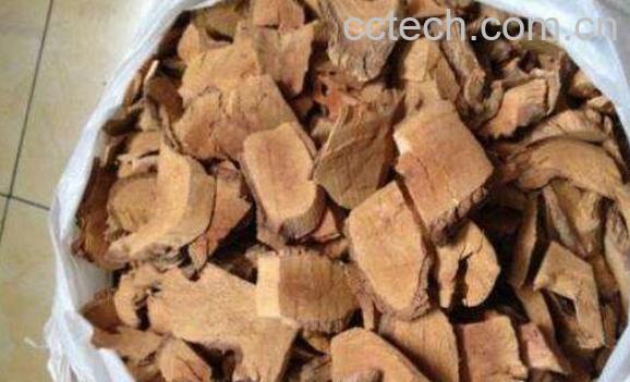 猕猴桃根的功效与作用 猕猴桃根有抗癌作用吗-1