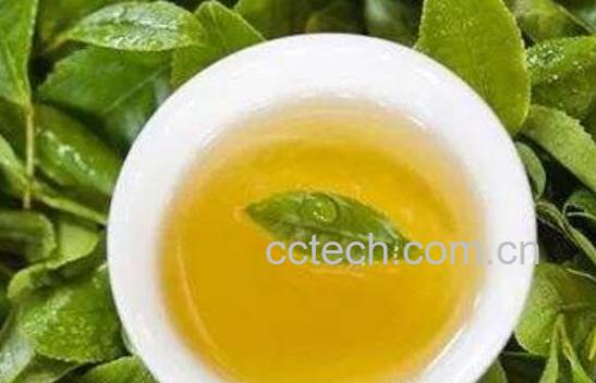 茶叶水洗脸的正确方法 茶叶水洗脸的好处-1