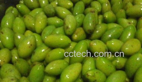 青橄榄怎么吃 青橄榄最简单的腌制方法-0