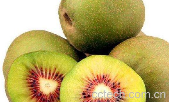 猕猴桃怎么吃好 猕猴桃的常见吃法-1