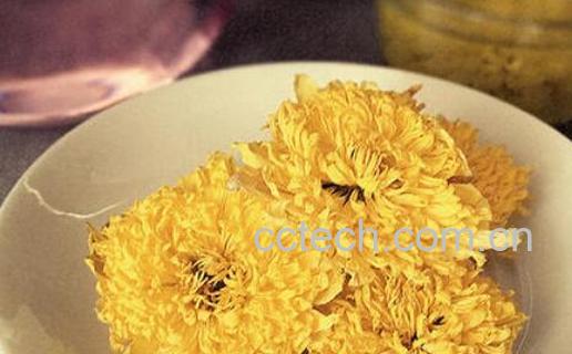 靖安皇菊的功效与作用及禁忌-0