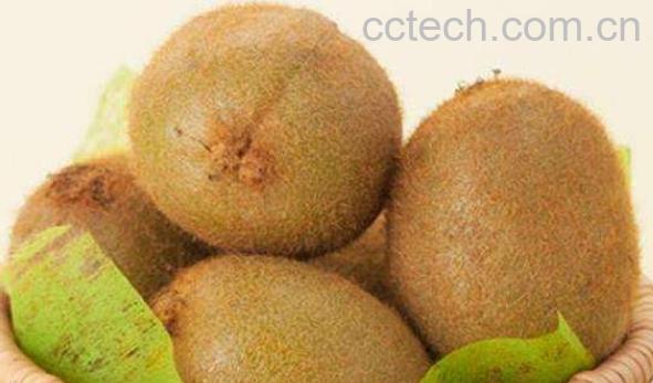 猕猴桃怎么催熟 猕猴桃最快催熟方法-0
