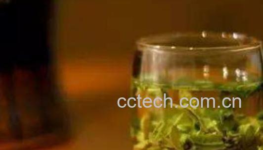 甜菊茶的功效与作用-1