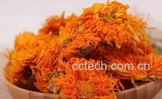 金盏菊泡茶的功效与作用-1