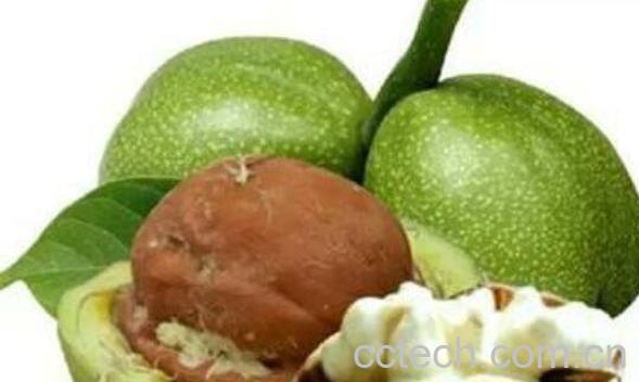 青皮核桃如何带皮储存-0