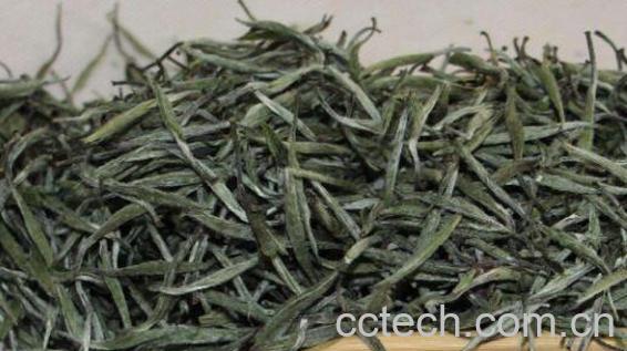 政和白茶口感特点 喝政和白茶的好处-1