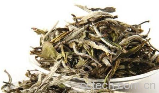 政和白茶和福鼎白茶的区别 白茶的作用-0