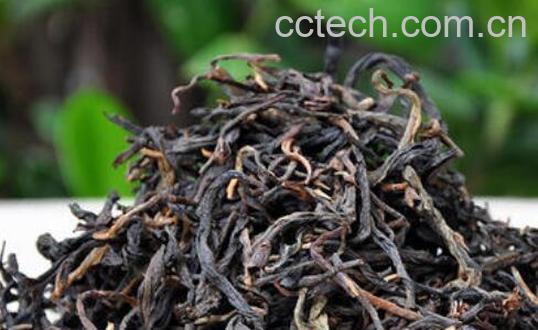 古树红茶的特点 古树红茶的功效-0