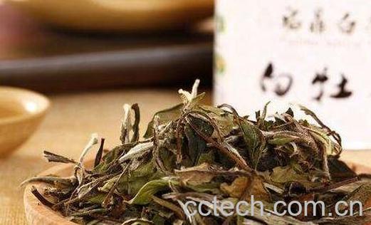 政和白茶怎么泡 政和白茶的正确冲泡方法-0