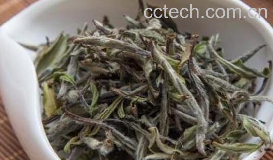 政和白茶怎么泡 政和白茶的正确冲泡方法-1