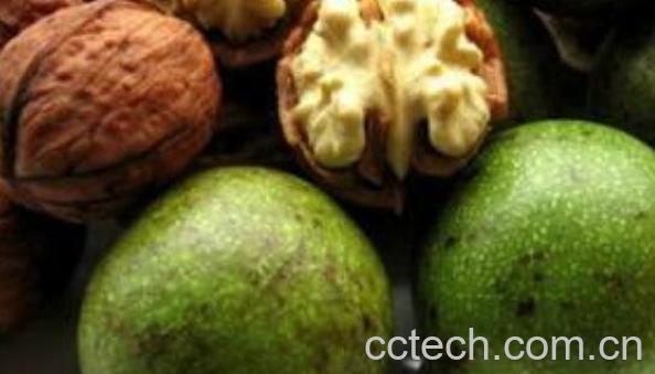  青皮核桃皮的作用与功效-0