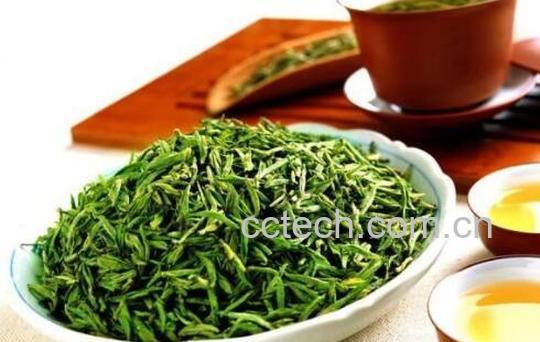 茶叶杀青和炒青的区别 茶叶的加工过程-0