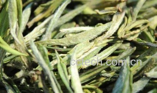 茶叶杀青和炒青的区别 茶叶的加工过程-1