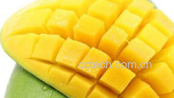 大青芒很硬的可以吃吗 大青芒果怎么吃图解法-0