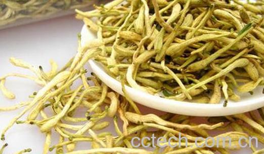 金银花如何晒干 金银花晒干制作过程-1