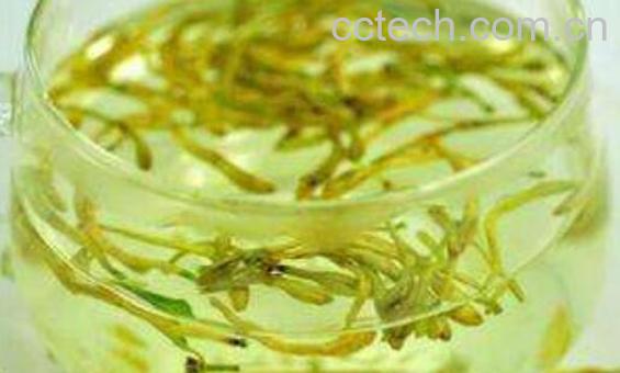 女人喝金银花的功效与作用-1