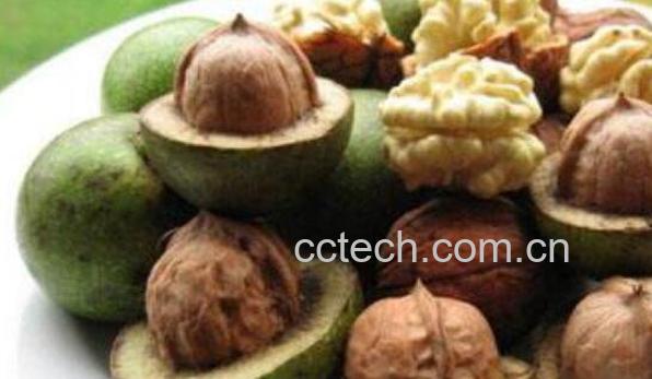 核桃皮的功效作用 核桃皮能治什么病-0