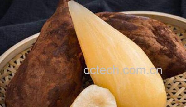 雪莲果的功效与作用及食用方法-1