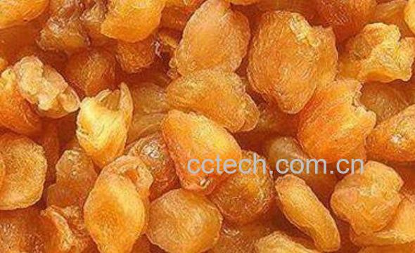 桂圆肉泡水喝的功效-0