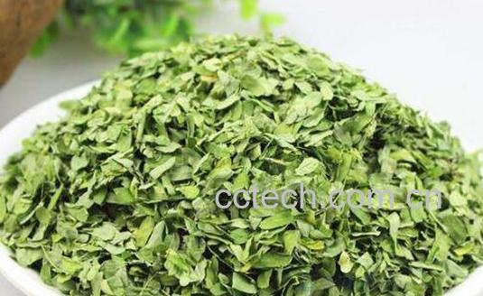 相思叶的功效与禁忌-1