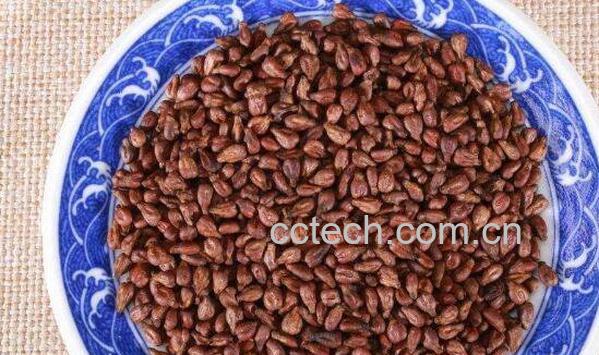 女人吃葡萄籽的作用和副作用-1