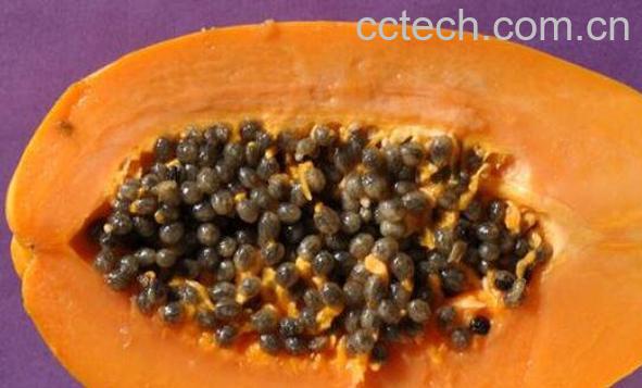 木瓜籽能吃吗 木瓜籽怎么吃-0