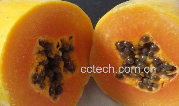 木瓜可以直接吃吗 木瓜的各种吃法-1